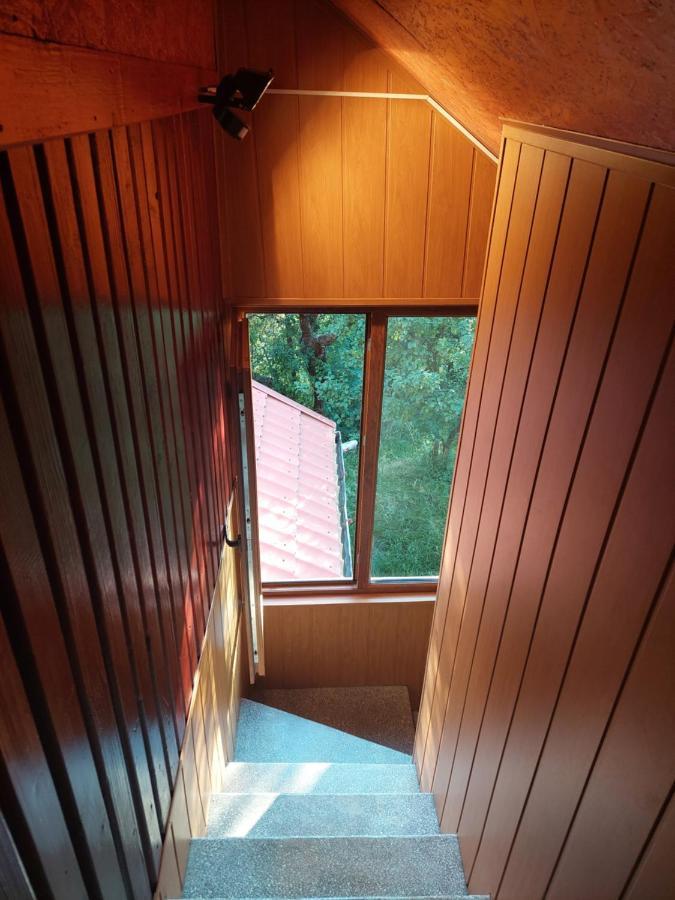 Cabana Cu Teren De Tenis -- Etaj Banita 외부 사진