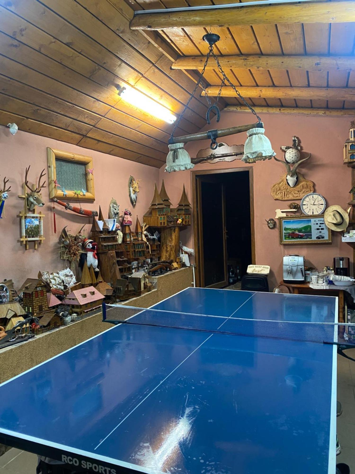 Cabana Cu Teren De Tenis -- Etaj Banita 외부 사진